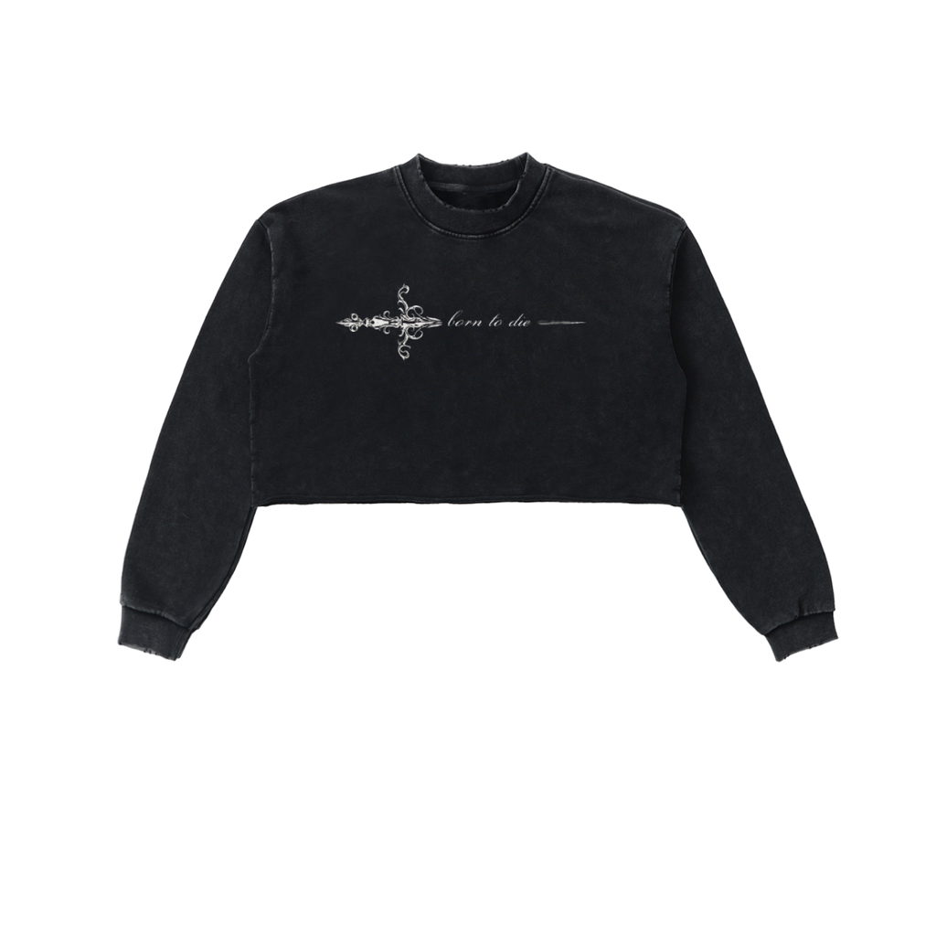 Snow Washed Raw Edge Cropped Sweatshirt